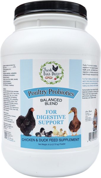 Fresh Eggs Daily Poultry Probiotics Balanced Mix Chicken & Duck Supplement, 6-lb jar slide 1 of 4