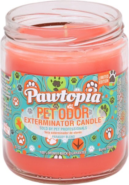 Pet Odor Exterminator Pawtopia Deodorizing Dog & Cat Candle, 13-oz jar slide 1 of 1