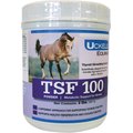 Uckele Tsf 100 Metabolic Support Powder Horse Supplement, 2-lb jar