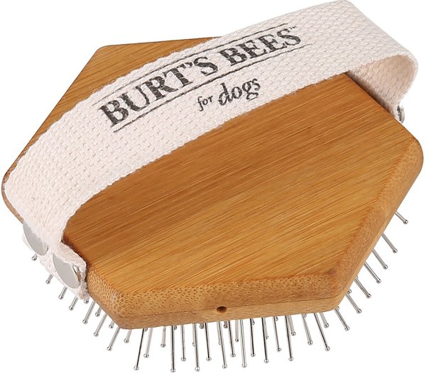 Burt's Bees Palm Detangling Dog Brush slide 1 of 5