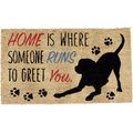 Design Imports Home Dog Door Mat