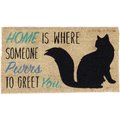 Design Imports Home Cat Door Mat