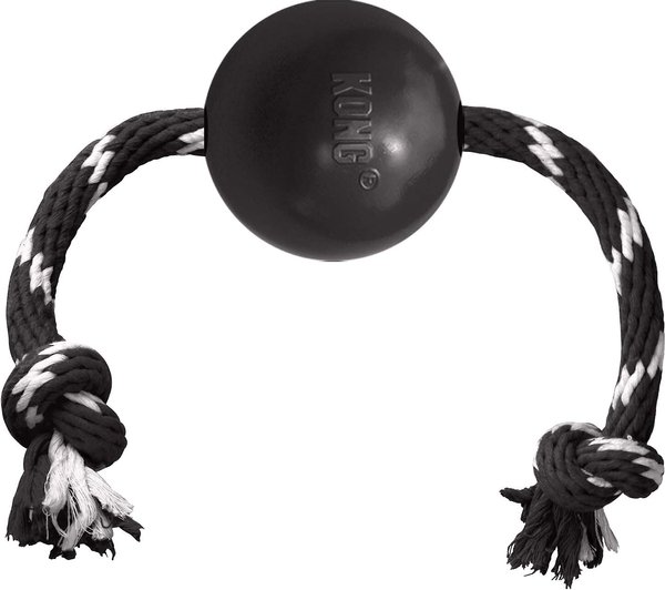 KONG Extreme Ball with Rope Dog Chew Toy, Large slide 1 of 4