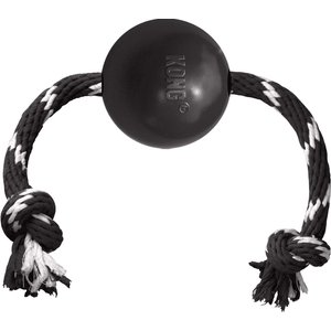 KONG Extreme Ball with Rope Dog Chew Toy, Large
