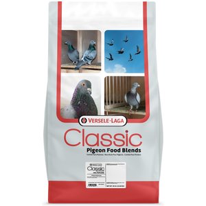 Versele-Laga Classic Pigeon Food Blends 15% Popcorn Pigeon Food, 50-lb bag