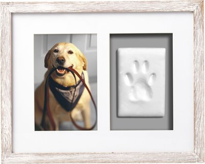 Pearhead Pawprints Wall Picture Frame, 4 x 6-in, slide 1 of 1