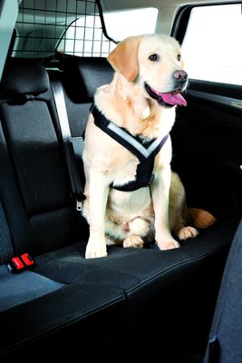 4x4 North America AllSafe Dog Harness, slide 1 of 1