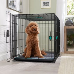 Frisco Heavy Duty Enhanced Lock Double Door Fold & Carry Wire Dog Crate & Mat Kit, Teal, Large, 42-in L x 28-in W x 30-in H