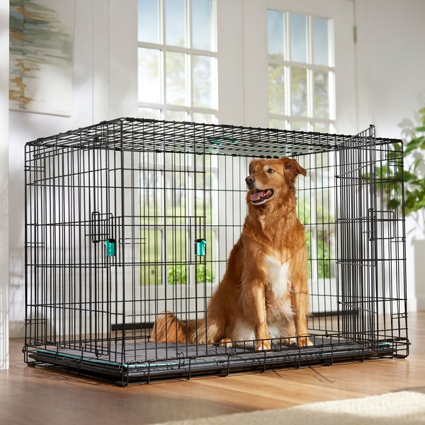 Frisco Heavy Duty Enhanced Lock Double Door Fold & Carry Wire Dog Crate & Mat Kit, Teal, X-Large, 48-in L x 30-in W x 32.5-in H slide 1 of 6
