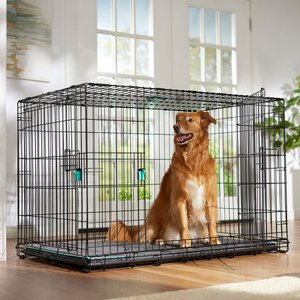 Frisco Heavy Duty Enhanced Lock Double Door Fold & Carry Wire Dog Crate & Mat Kit, Teal, X-Large, 48-in L x 30-in W x 32.5-in H