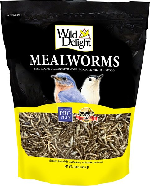 Wild Delight Mealworms Wild Bird Food, 16-oz bag slide 1 of 8