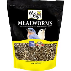 Wild Delight Mealworms Wild Bird Food, 16-oz bag