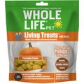 Whole Life Living Treats Pumpkin Flavor Freeze-Dried Dog Treats