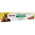 Durvet Pyrantel Paste Apple Flavor Horse Dewormer, 0.833-oz tube