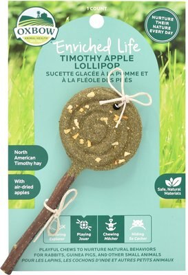 Oxbow Enriched Life Apple Timothy Lollipop Small Pet Chew Toy, slide 1 of 1