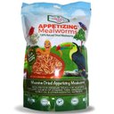 Amzey Appetizing Mealworms Wild Bird Treats, 1-lb bag