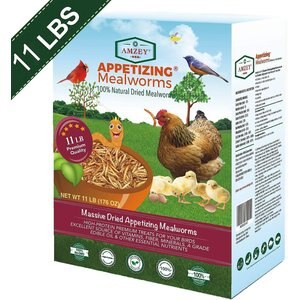Amzey Appetizing Mealworms Wild Poultry Treats, 11-lb box