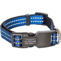 SmartBuckle Plus Protective Nylon Dog Collar, Blue, Small: 10.5 to 14.5-in neck