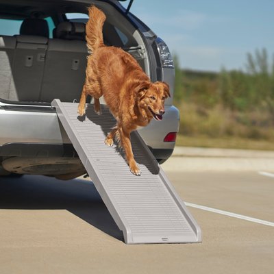 Frisco Bi-Fold Travel Dog Car Ramp, slide 1 of 1