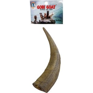 QT Dog Gobi Goat Horn Chew Dog Treat, Medium