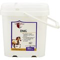 Vita Flex DMG Recovery Powder Horse Supplement, 5-lb bucket