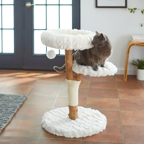 Frisco Natural Wood Modern Cat Tree with Toy, Ivory, Medium slide 1 of 7