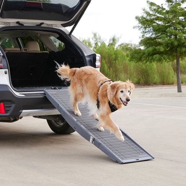 Frisco Tri-Fold Travel Dog Car Ramp, Dark Charcoal slide 1 of 6