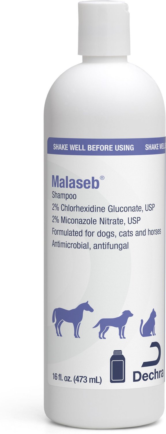 malaseb shampoo for horses