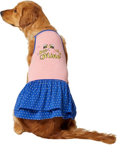 Frisco Bee Mine Dog & Cat Dress, Large slide 1 of 5