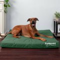 FurHaven Deluxe Oxford Orthopedic Indoor/Outdoor Dog & Cat Bed w/ Removable Cover, Jumbo, Forest