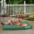 FurHaven Deluxe Oxford Memory Foam Indoor/Outdoor Dog & Cat Bed w/ Removable Cover, Jumbo, Forest