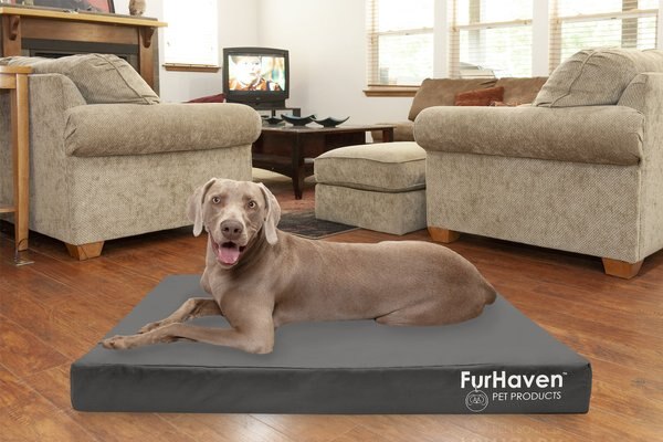 FurHaven Deluxe Oxford Cooling Gel Indoor/Outdoor Dog & Cat Bed w/ Removable Cover, Jumbo Plus, Stone Grey slide 1 of 9