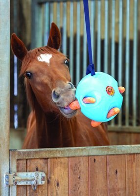 Shires Equestrian Products Carrot Ball Horse Toy, Blue, slide 1 of 1