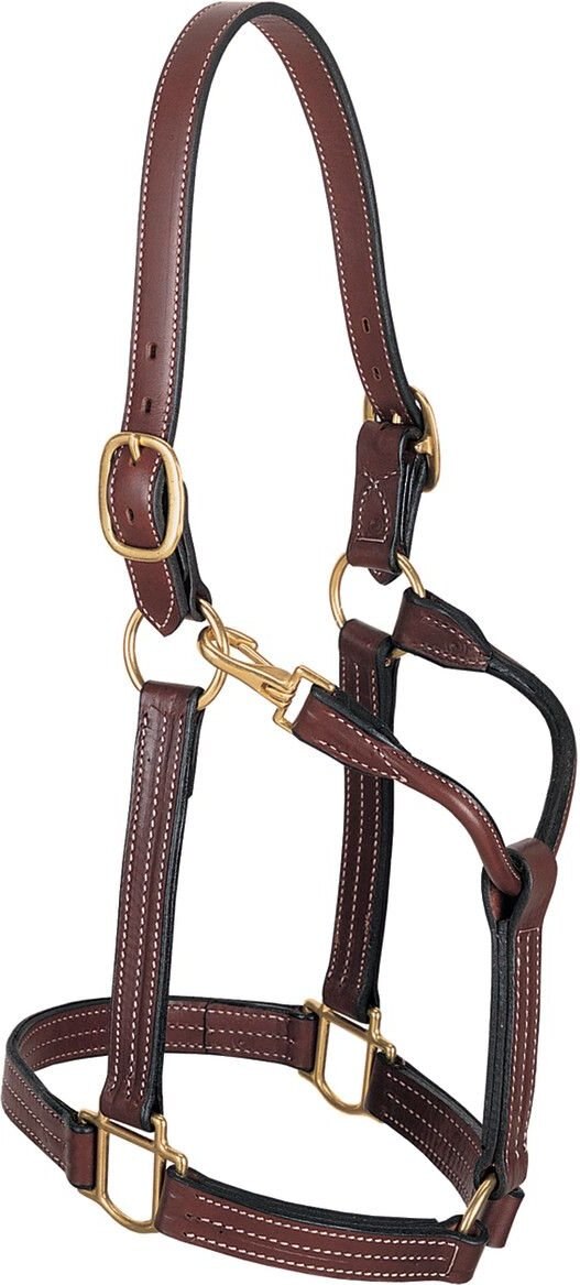 WEAVER LEATHER Thoroughbred Horse Halter  Snap, Large - Chewy.com