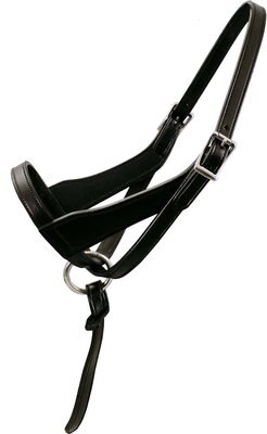 Paris Tack Double Layered Leather Adjustable Horse Foal Halter & Extra Crown, slide 1 of 1