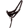 Paris Tack Double Layered Leather Adjustable Horse Foal Halter & Extra Crown, Havana