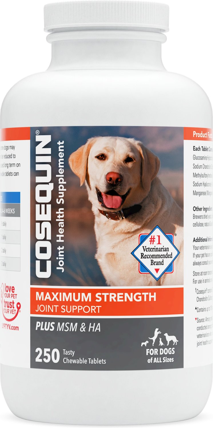 cosequin for dogs