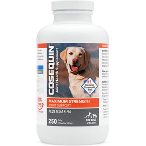 Nutramax Cosequin Maximum Strength Plus MSM & HA Chewable Tablets Joint Supplement for Dogs, 250 count