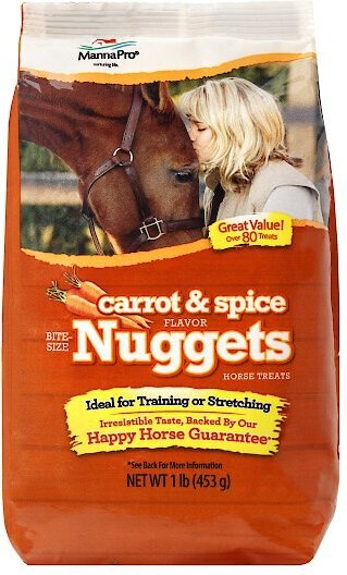 Manna Pro Bite-Size Nuggets Carrot & Spice Flavor Horse Treats, 1-lb bag slide 1 of 7
