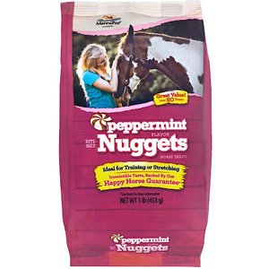 Manna Pro Bite-Size Nuggets Peppermint Flavor Horse Treats, 1-lb bag