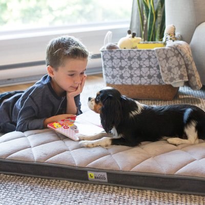 BeOneBreed Diamond Pillow Dog Bed w/Removable Cover, slide 1 of 1