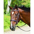 Shires Equestrian Products Avignon Wellington Horse Bridle, Pony