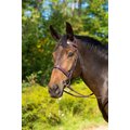 Shires Equestrian Products Avignon Middleburg Horse Bridle, Pony