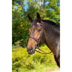 Shires Equestrian Products Avignon Middleburg Horse Bridle, Ex-Full 