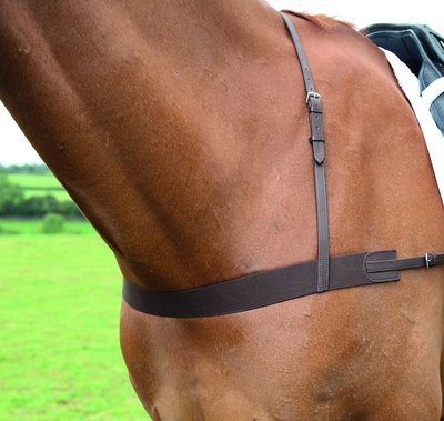 Shires Equestrian Products Elastic Horse Breastgirth, Full/Ex-Full, slide 1 of 1