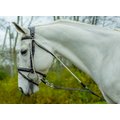 Shires Equestrian Products DeGogue Horse Training Aid, Black, Pony
