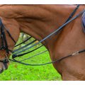Shires Equestrian Products Leather Draw Horse Reins, Black