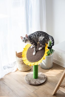 Catry Sunflower 23.2-in Sisal Cat Scratching Post with Toy, slide 1 of 1