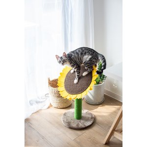 Catry Sunflower 23.2-in Sisal Cat Scratching Post with Toy