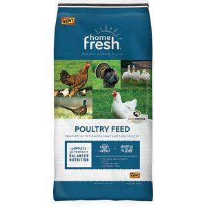 Kent Home Fresh Grow & Show Crumble Poultry Feed, 50-lb bag